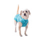 Îmbrăcăminte de Protecție „Dry Light Supreme Dog” Verde Mărimea 12 (32 – 38 kg) UV 50 plus, Antimicrobiană, Dry